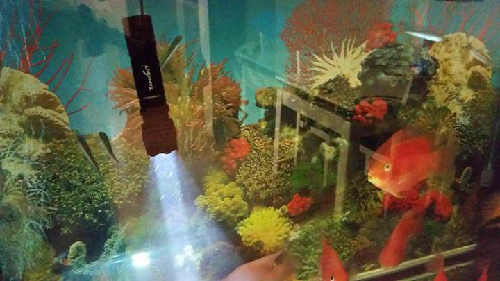 手電PT10，為戰(zhàn)術(shù)而生